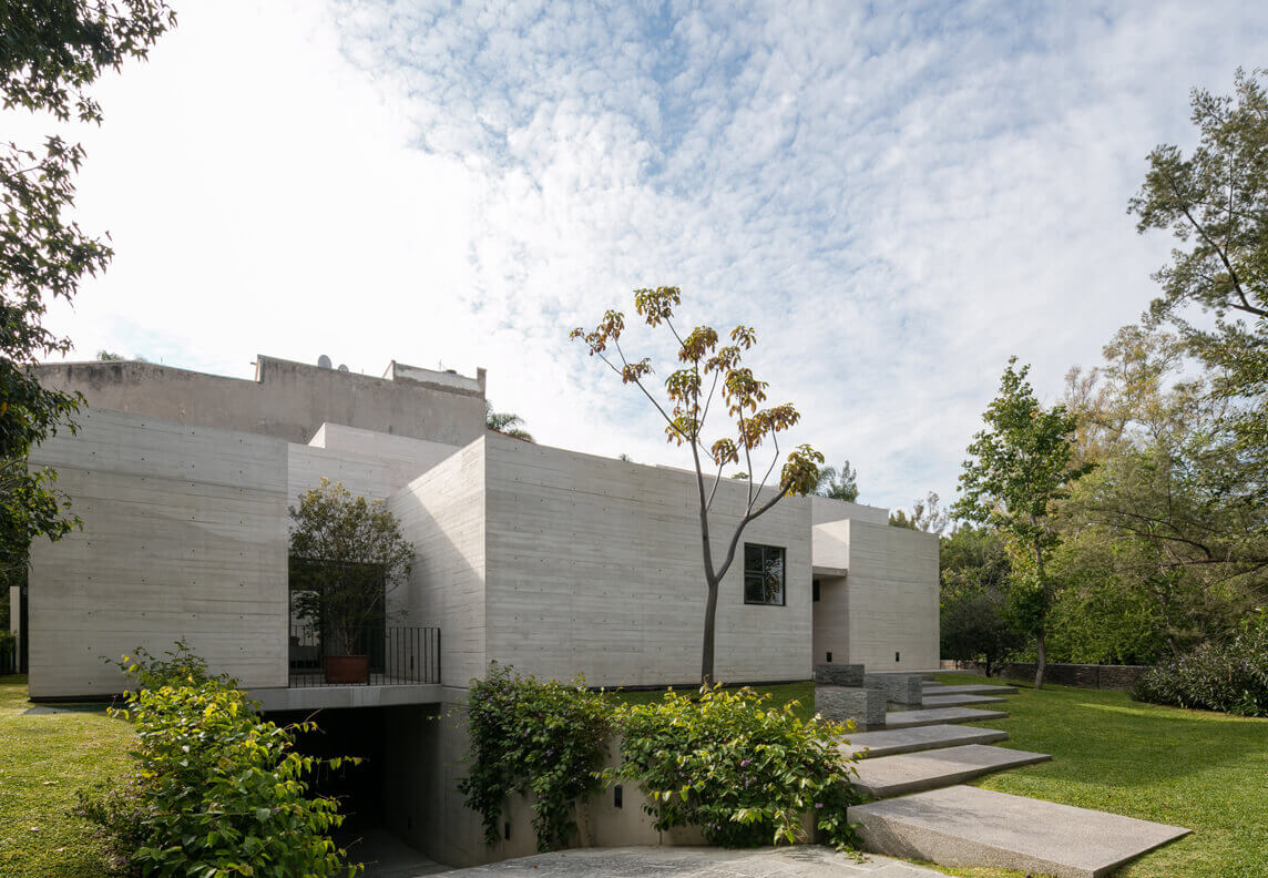 The Rise of Biophilic Design:  Bringing Nature Indoors